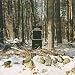Ruined Lives