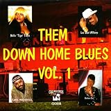 Vol. 1-Them Downhome Blues Search