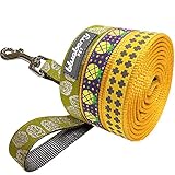 Blueberry Pet 3/8-inch by 5-Feet Gold Cross Print Basic Nylon Dog Leash Lead for Puppy, X-Small