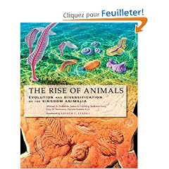 The Rise of Animals: Evolution and Diversification of the Kingdom Animalia