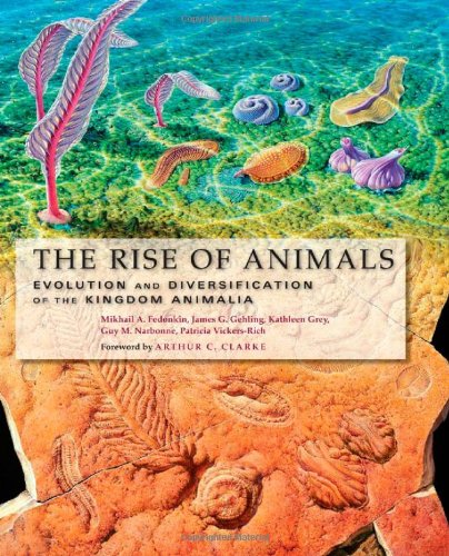 Kingdom Animalia best buy