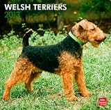 Welsh Terriers 2013 - Original BrownTrout-Kalender