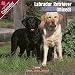 2009 Labrador Ret (Mixed) Wall Calendar