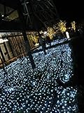 RioRand® LEDネットライト イルミネーション ガーデンライト ドレープライト 連結可能　屋内外装飾　結婚式/ガーデン/パーティー/クリスマス　2*3メートル (ホワイト)