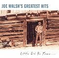 Joe Walsh's Greatest Hits: Little Did He Know...
