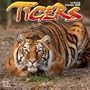 Tigers 2009 Wall Calendar 12" X 12"