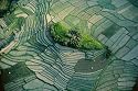 Ravensburger 19283 - Earth from above - Bauernhof inmitten von Feldern - 1000 Teile Puzzle (exklusiv bei amazon.de)