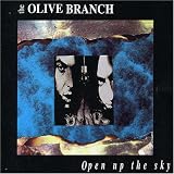 Open Up the Sky