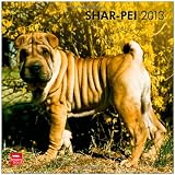 Shar Pei 2013 - Shar-Pei - Original BrownTrout-Kalender