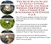 The Rich Man's Make An Extra Income, Inner Game and Sales Models for Fitness & Yoga Videos Web Businesses 3 CD Power Pack