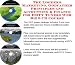The Insider's Marketing, Godfather Principles and Accounting & Finance for HDTV Tuners Web Biz 3 CD Course