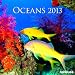 Oceans 2013 Broschürenkalender