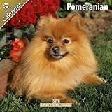 \"Pomeranian