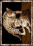 Animal Area Rug, Home Dynamix Zone Leopard