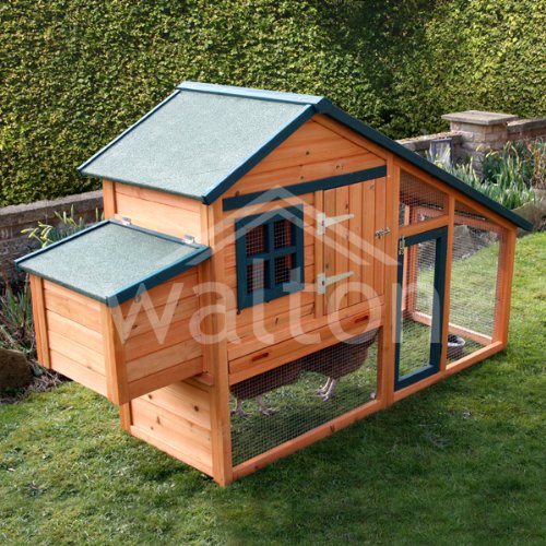 Walton's Chicken Coop 5