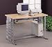 Brushed aluminum finish computer desk with wood top