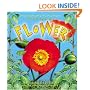 The Life Cycle of a Flower