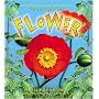 The Life Cycle of a Flower (Life Cycle)