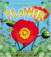 The Life Cycle of a Flower (The Life Cycle)