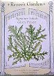 Glory Frisee Curly Endive Seeds 450 Seeds