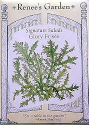 Glory Frisee Curly Endive Seeds 450 Seeds