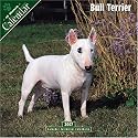 Bull Terrier 2007 Wall Calendar