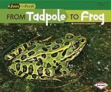 From Tadpole to Frog (Start to Finish, Second (Paperback))