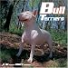   - 2007 16 Month Bull Terriers Wall Calendar