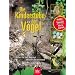 Die Kinderstube der V�gel: Nester, Eier und Jungv�gel erkennen und bestimmen. Nisthilfen. Vogelschutz. Hilfe f�r Jungv�gel