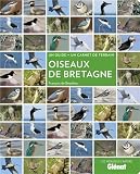 Livres pas cher d&acute;occasion Nature et jardinage : Oiseaux de Bretagne