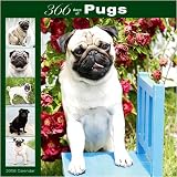 366 Days of Pugs 2008 Wall Calendar
