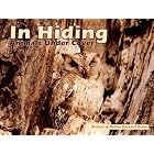 In Hiding: Animals Under Cover (Pair-It Books) by Melissa Blackwell Burke
