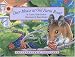 Search : Deer Mouse at Old Farm Road (Smithsonian's Backyard) (Smithsonian's Backyard)