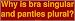 Why is bra singular and panties plural? Large Bumper Sticker