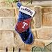 Texas Rangers Colorblock Plush Stocking