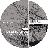 In Your Face [12" VINYL]