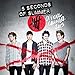 5 Seconds of Summer Official 2015 Calendar