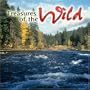 Treasures of the Wild - Where Sea Meets Land