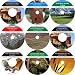 The In-Depth 9 CD No Money Down, Millionaire Making Real Estate Mentoring System