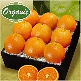 Organic Navel Oranges