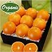 Organic Navel Oranges