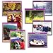 Search : Seasons Photographs