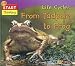Life Cycles from Tadpole to Frog