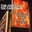 Burning Down the House