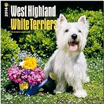 West Highland White Terriers Calendar West Highland White Terriers Calendar