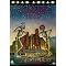 Buy The Best Concert DVD's Available