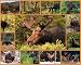 White Mountain Puzzles Gentle Giants