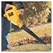 Outdoor Living : Cordless Leaf Blower