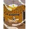 Graphic Novels 101