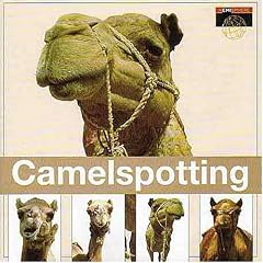 Camelspotting